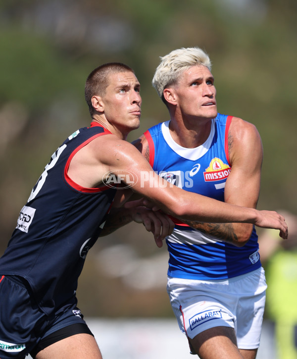 VFL 2024 Round 02 - Casey Demons v Footscray Bulldogs - A-46789397