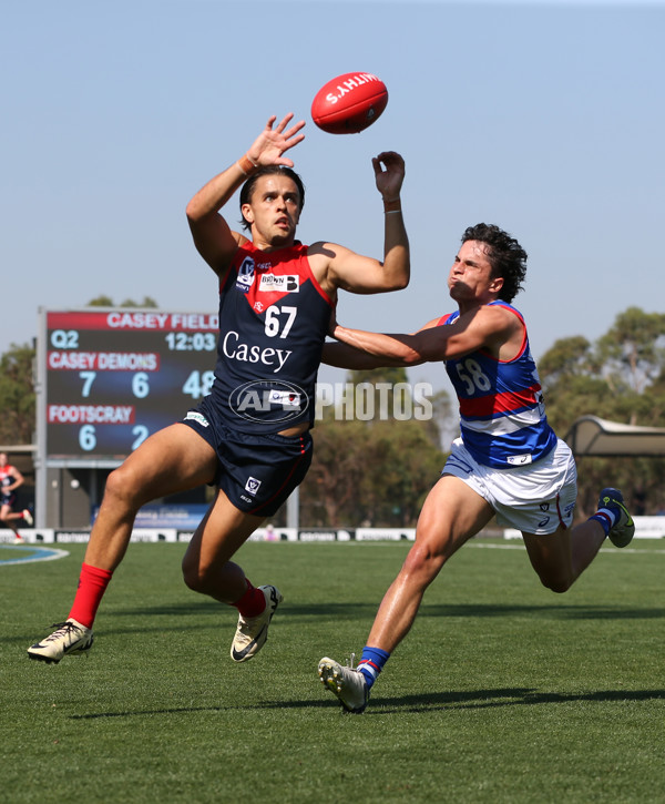 VFL 2024 Round 02 - Casey Demons v Footscray Bulldogs - A-46789447