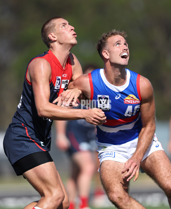 VFL 2024 Round 02 - Casey Demons v Footscray Bulldogs - A-46789448