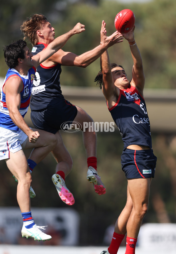 VFL 2024 Round 02 - Casey Demons v Footscray Bulldogs - A-46789449