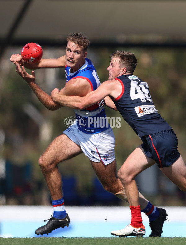 VFL 2024 Round 02 - Casey Demons v Footscray Bulldogs - A-46792019