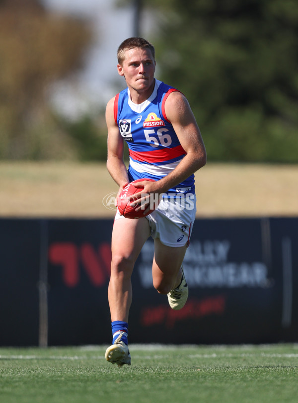 VFL 2024 Round 02 - Casey Demons v Footscray Bulldogs - A-46792020