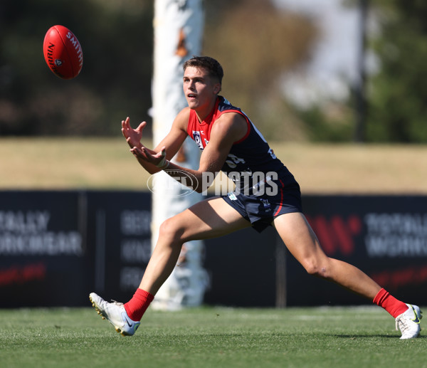 VFL 2024 Round 02 - Casey Demons v Footscray Bulldogs - A-46792125