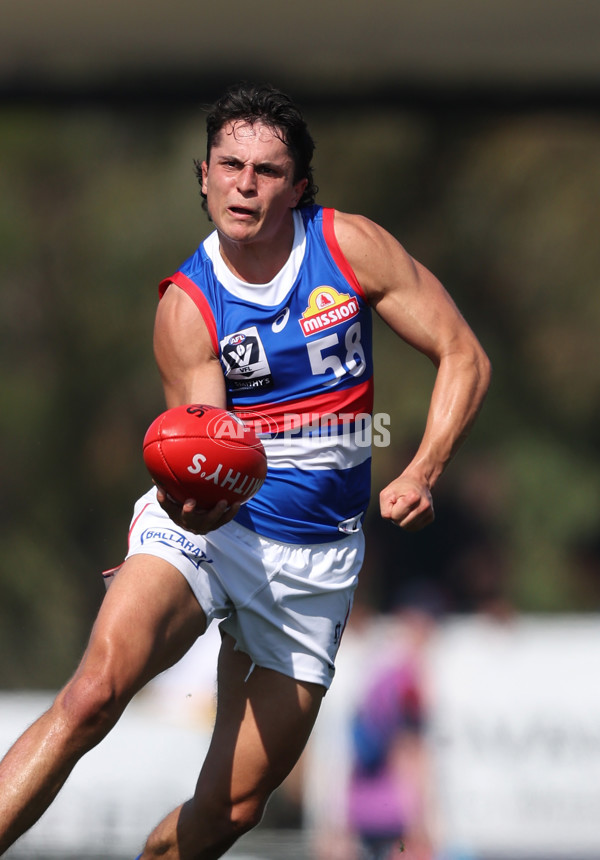 VFL 2024 Round 02 - Casey Demons v Footscray Bulldogs - A-46792126