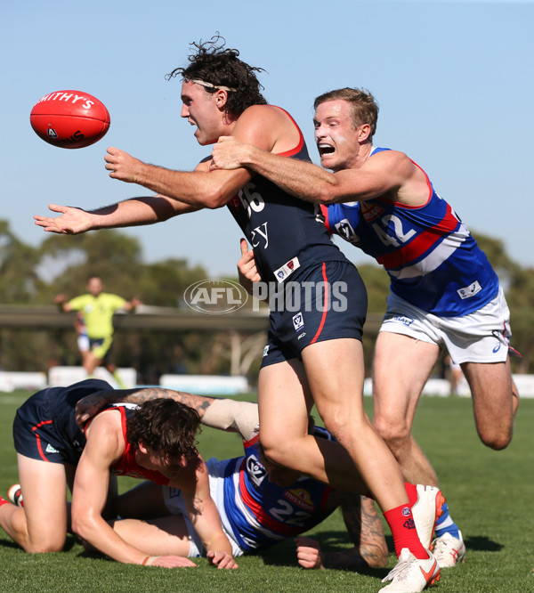 VFL 2024 Round 02 - Casey Demons v Footscray Bulldogs - A-46794421