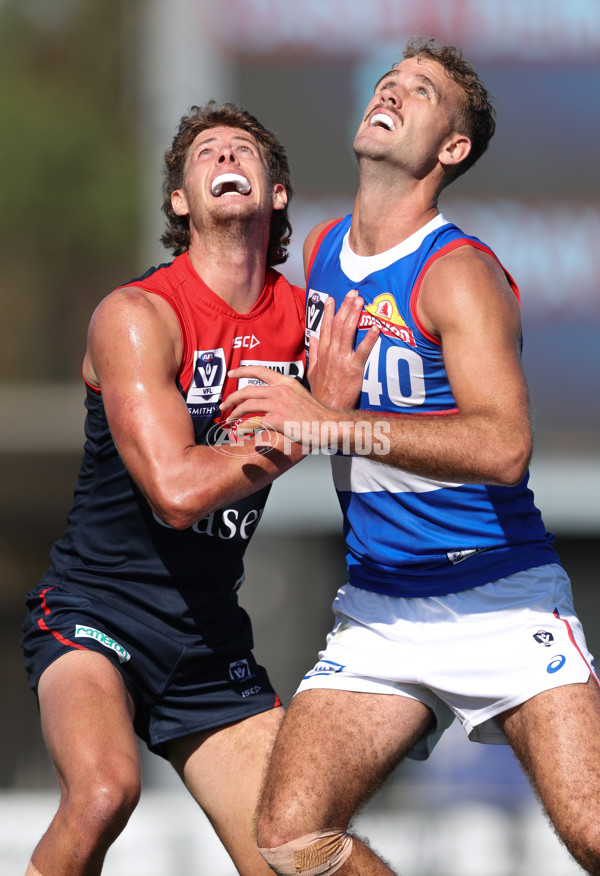 VFL 2024 Round 02 - Casey Demons v Footscray Bulldogs - A-46794422