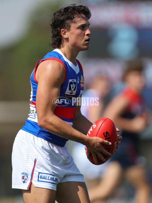 VFL 2024 Round 02 - Casey Demons v Footscray Bulldogs - A-46794427