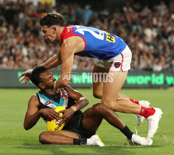 AFL 2024 Round 03 - Port Adelaide v Melbourne - A-46794457