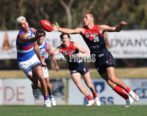 VFL 2024 Round 02 - Casey Demons v Footscray Bulldogs - A-46794723