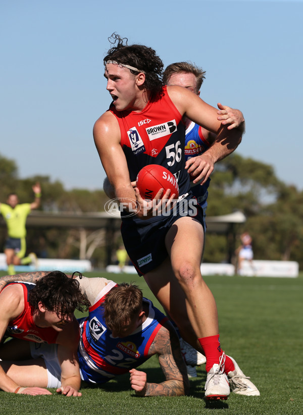 VFL 2024 Round 02 - Casey Demons v Footscray Bulldogs - A-46794724