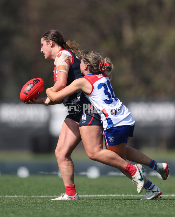 VFLW 2024 Round 02 - Casey Demons v Western Bulldogs - A-46797042