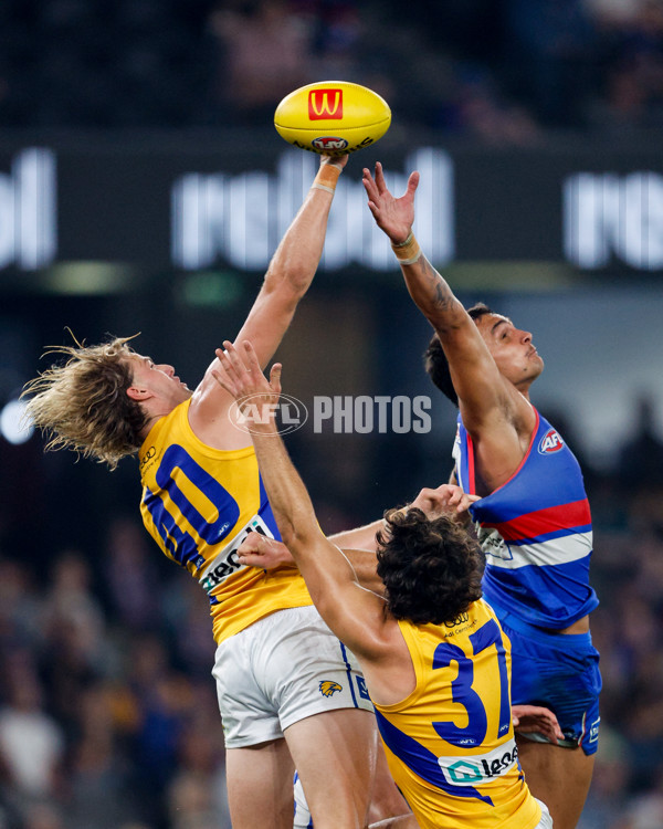 AFL 2024 Round 03 - Western Bulldogs v West Coast - A-46803080