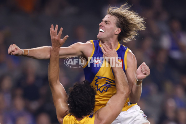 AFL 2024 Round 03 - Western Bulldogs v West Coast - A-46808378