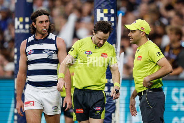 AFL 2024 Round 03 - Hawthorn v Geelong - A-46826577