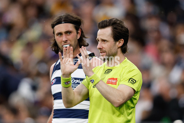 AFL 2024 Round 03 - Hawthorn v Geelong - A-46826578