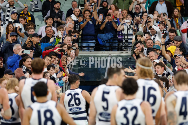 AFL 2024 Round 03 - Hawthorn v Geelong - A-46828801