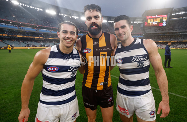 AFL 2024 Round 03 - Hawthorn v Geelong - A-46831030