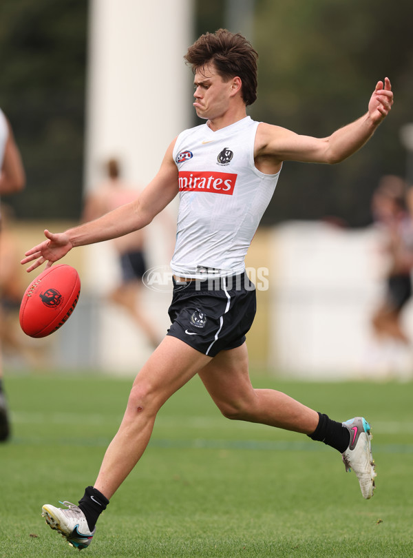 AFL 2024 Training - Collingwood 030424 - A-46950259