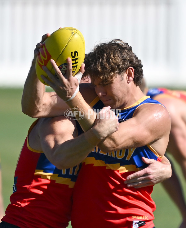 AFL 2024 Training - Brisbane Lions 030424 - A-46954092