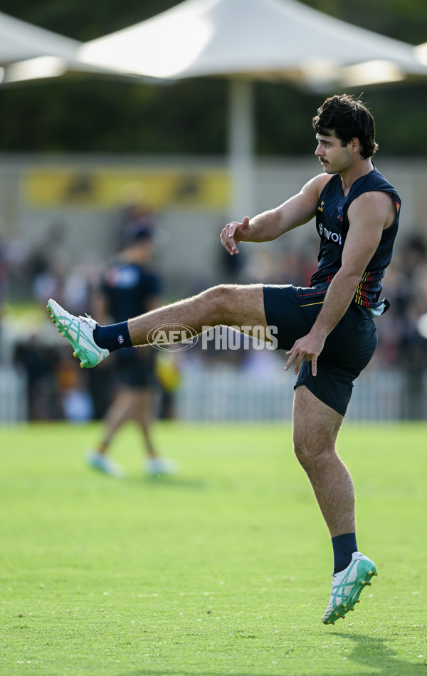 AFL 2024 Training - Adelaide 030424 - A-46954164