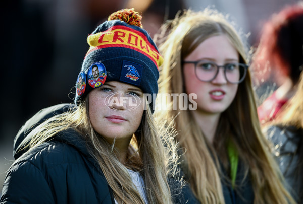 AFL 2024 Training - Adelaide 030424 - A-46957173