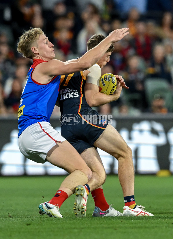 AFL 2024 Round 04 - Adelaide v Melbourne - A-46972801