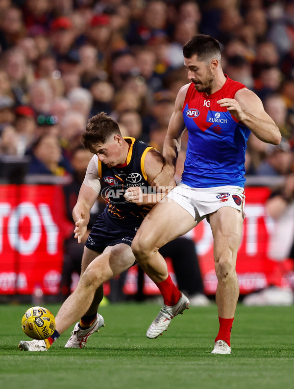 AFL 2024 Round 04 - Adelaide v Melbourne - A-46977305