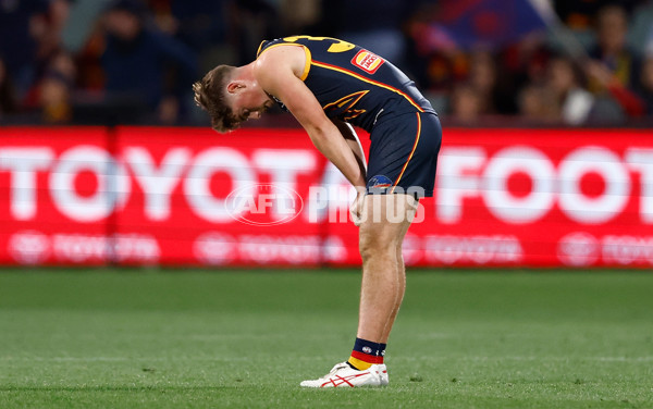 AFL 2024 Round 04 - Adelaide v Melbourne - A-46979899