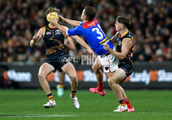 AFL 2024 Round 04 - Adelaide v Melbourne - A-46982233