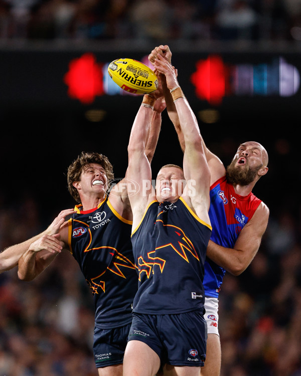 AFL 2024 Round 04 - Adelaide v Melbourne - A-46989814