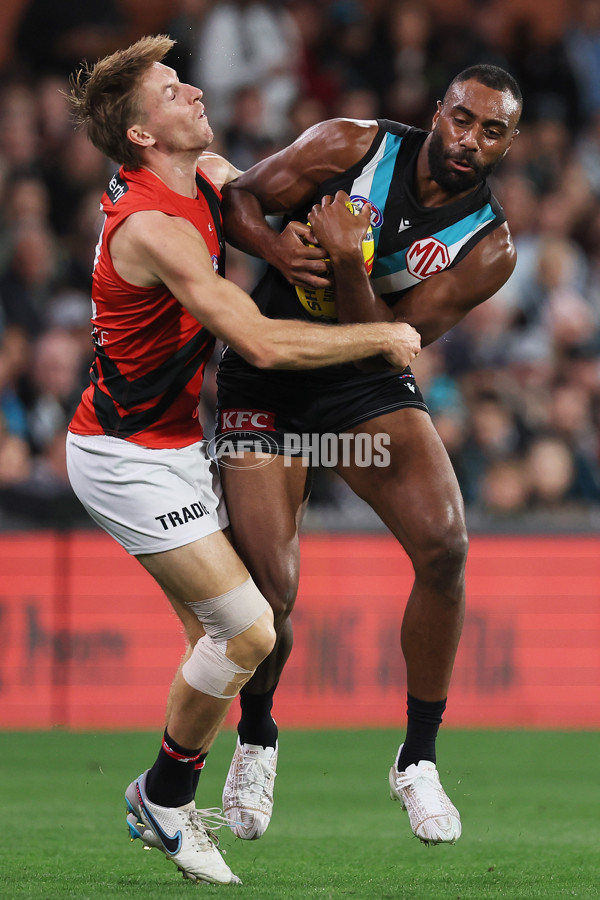 AFL 2024 Round 04 - Port Adelaide v Essendon - A-46997557