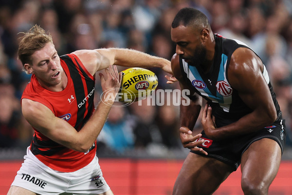 AFL 2024 Round 04 - Port Adelaide v Essendon - A-46997647