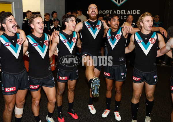 AFL 2024 Round 04 - Port Adelaide v Essendon - A-47008497