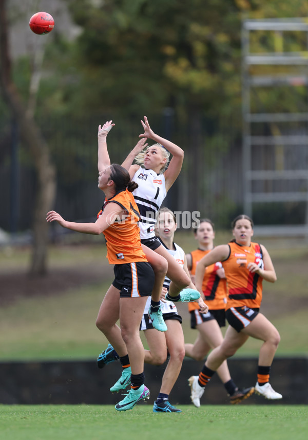 Coates League Girls 2024 - Calder Cannons v Northern Knights - A-47012904