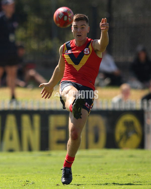 AAMI State Game 2024 - SANFL v VFL - A-47017590