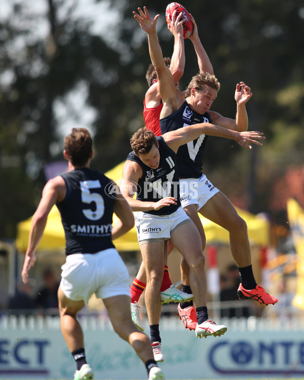 AAMI State Game 2024 - SANFL v VFL - A-47017619