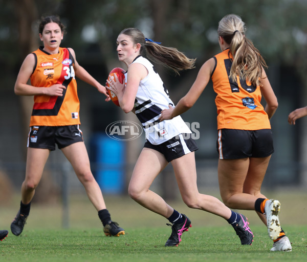 Coates League Girls 2024 - Calder Cannons v Northern Knights - A-47033872