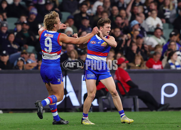 AFL 2024 Round 04 - Western Bulldogs v Geelong - A-47036567