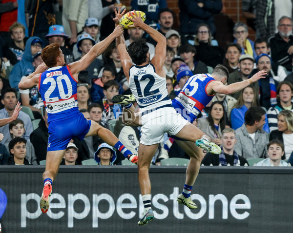 AFL 2024 Round 04 - Western Bulldogs v Geelong - A-47036591