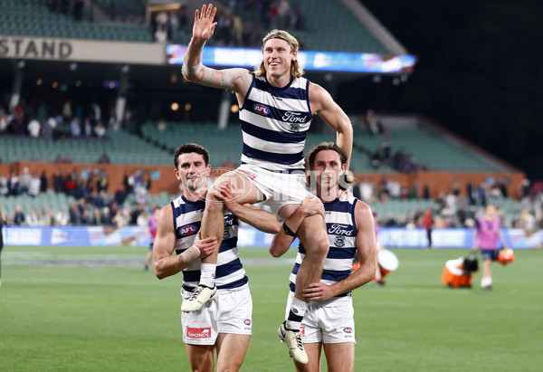 AFL 2024 Round 04 - Western Bulldogs v Geelong - A-47043203