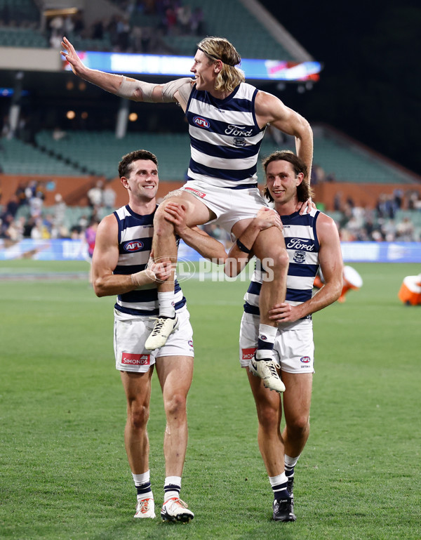 AFL 2024 Round 04 - Western Bulldogs v Geelong - A-47043792