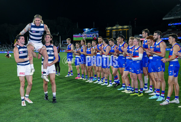 AFL 2024 Round 04 - Western Bulldogs v Geelong - A-47045533