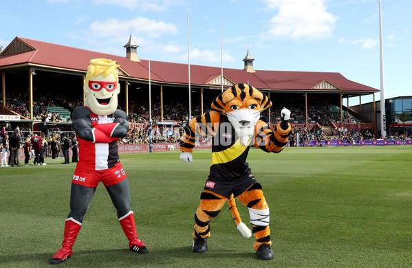 AFL 2024 Round 04 - Richmond v St Kilda - A-47056775