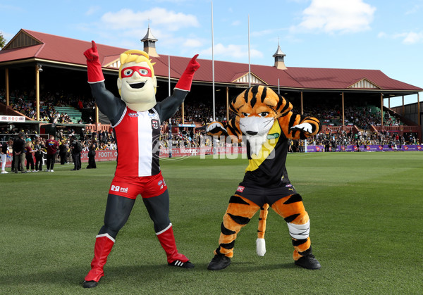 AFL 2024 Round 04 - Richmond v St Kilda - A-47056778