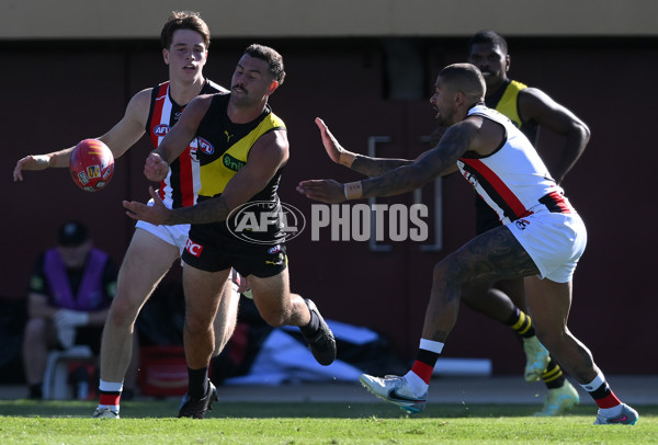 AFL 2024 Round 04 - Richmond v St Kilda - A-47059428