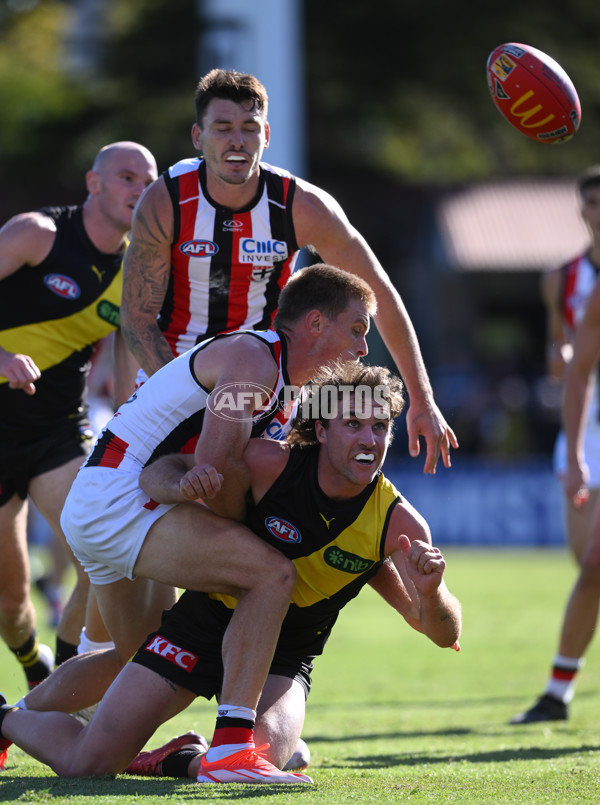 AFL 2024 Round 04 - Richmond v St Kilda - A-47061962