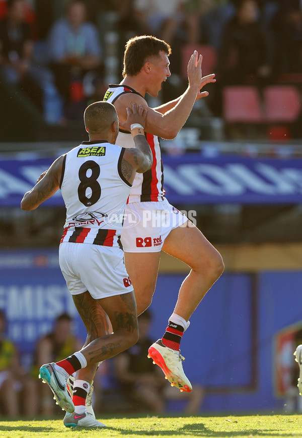 AFL 2024 Round 04 - Richmond v St Kilda - A-47065325