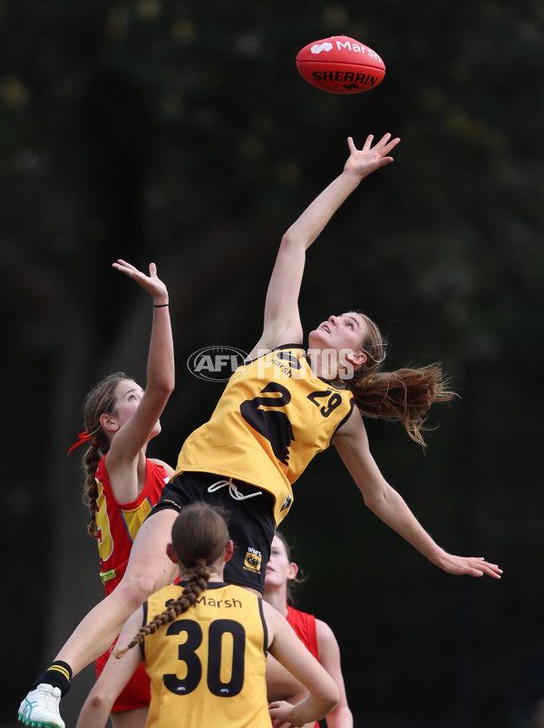 2024 U16 Girls Championships - Gold Coast SUNS Academy v Western Australia - A-47065342
