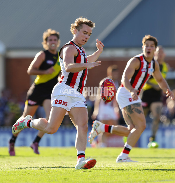 AFL 2024 Round 04 - Richmond v St Kilda - A-47074773