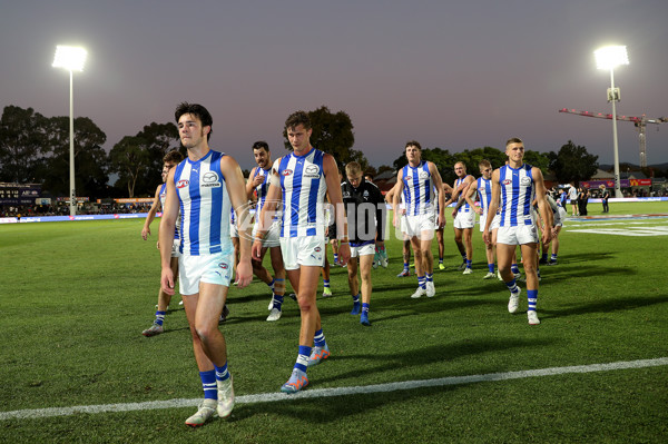 AFL 2024 Round 04 - Brisbane v North Melbourne - A-47083760